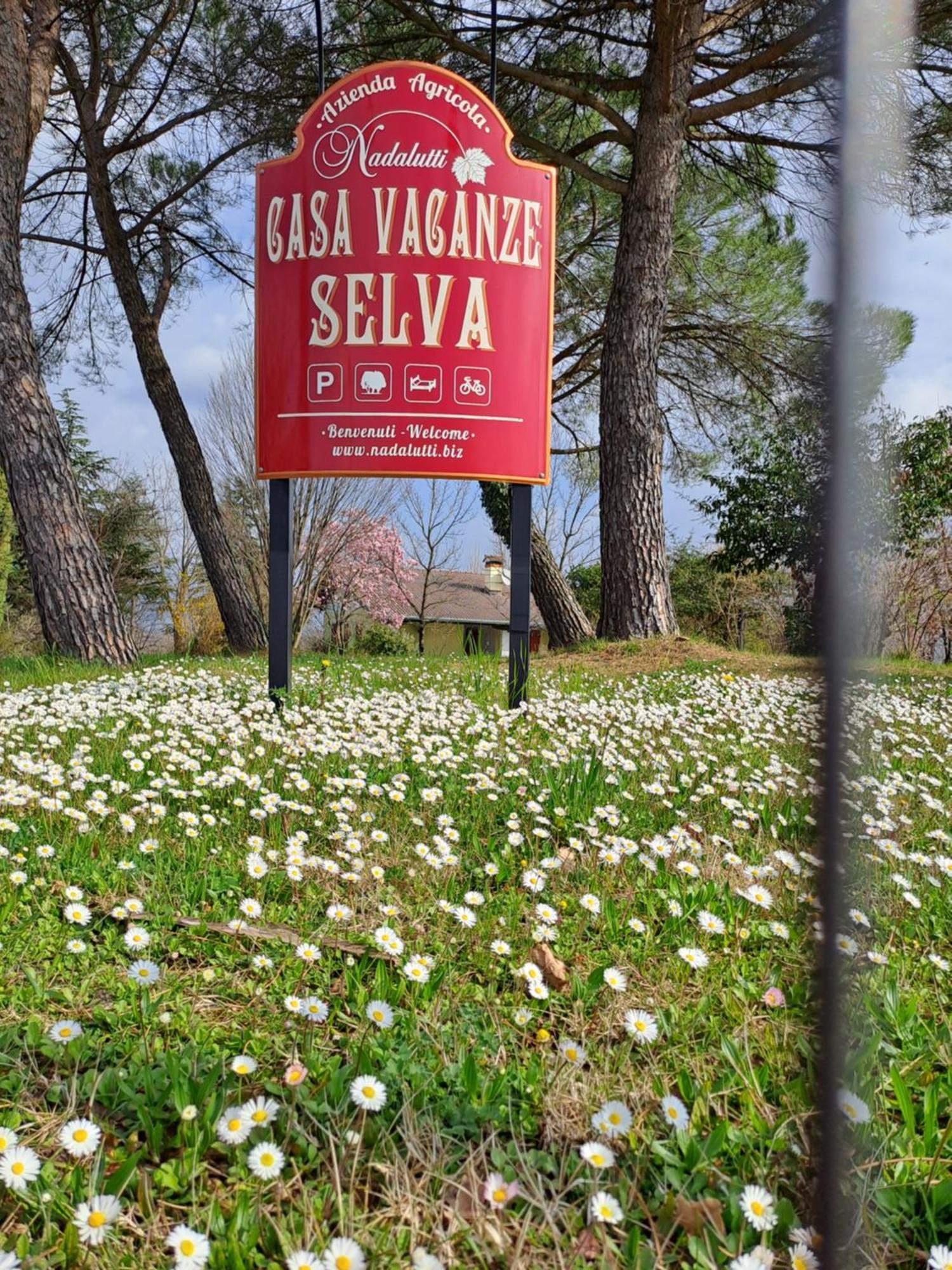 Casa Vacanze Selva Premariacco Eksteriør billede